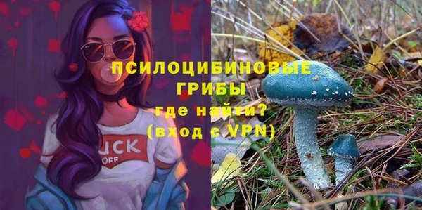 трава Вязники