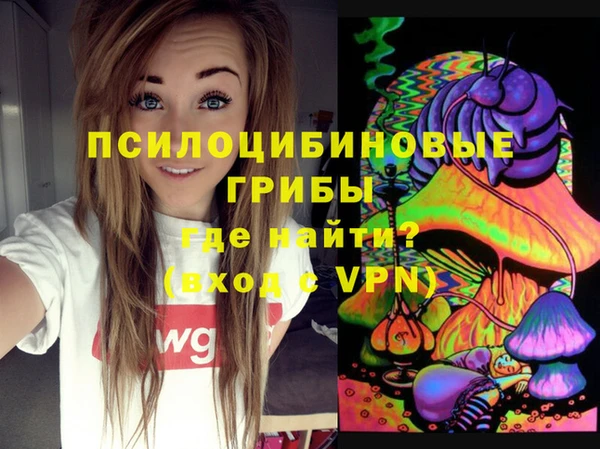 гидропоника Вяземский