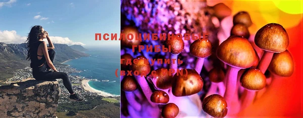 первитин Вязьма
