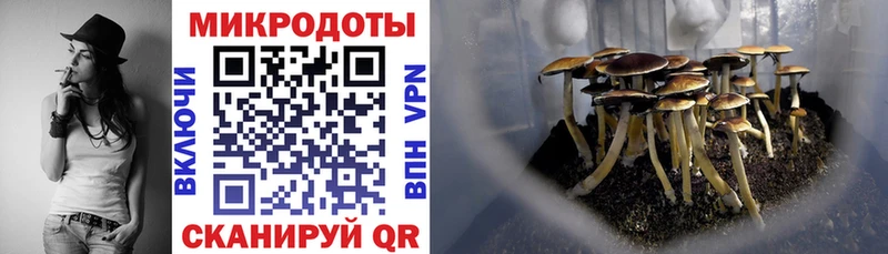 Псилоцибиновые грибы Psilocybine cubensis  mega как войти  Иннополис 