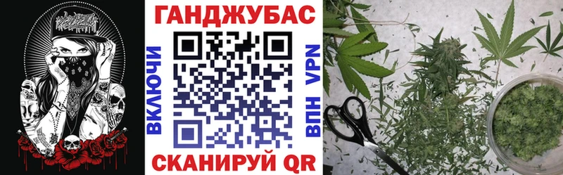 где купить наркоту  KRAKEN ССЫЛКА  Каннабис индика  Иннополис 